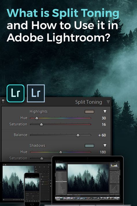 Free Adobe Lightroom Presets, Adobe Lightroom Filters, How To Use Adobe Lightroom Photo Editing, Adobe Lightroom Tutorials, Lightroom Effects, Adobe Lightroom Photo Editing, Photo Editing Lightroom, Photography Tools, Adobe Lightroom Presets