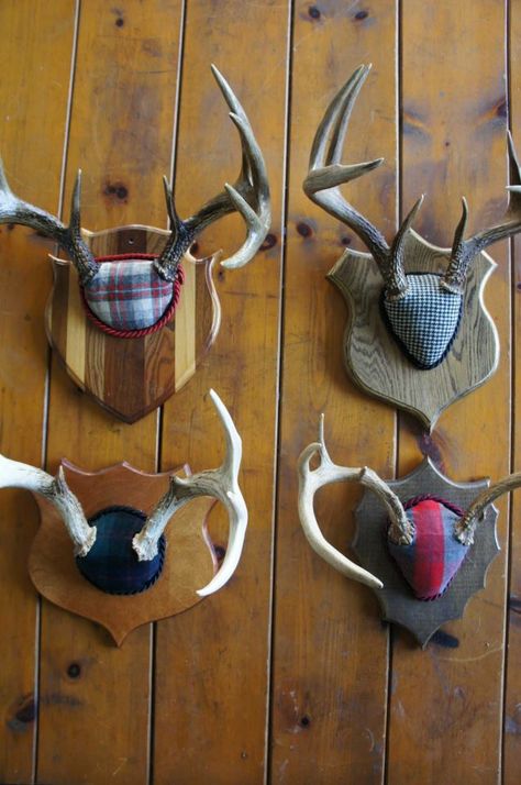 . Deer Antler Plaque Ideas, Hunting Cottage, Americana Bedroom, Deer Antler Mount, Antler Ideas, Upscale Decor, Camp Cabin, Deer Heads, Lodge Ideas