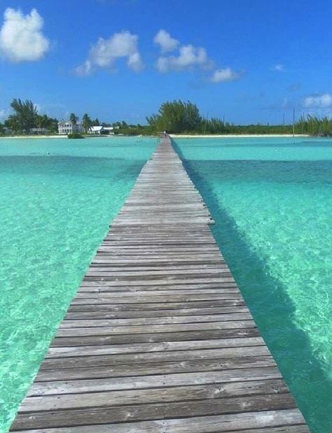 Abaco, Bahamas | A Vacation Guide, Directory and Resource. Abaco Bahamas, Bahamas Resorts, Bahamas Travel, Bahamas Island, Island Destinations, Water Adventure, Green Turtle, Caribbean Travel, Caribbean Islands