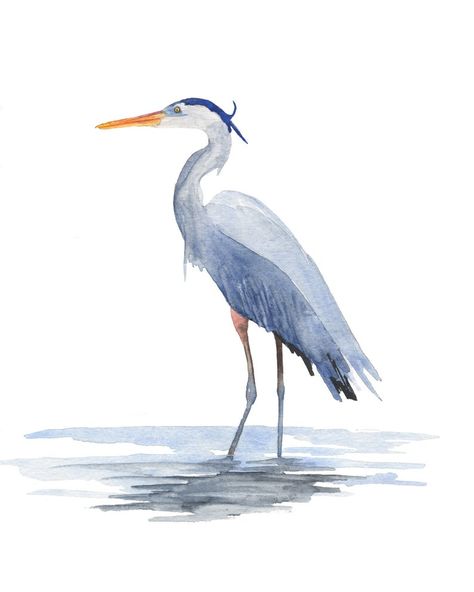 Blue Heron Art, Heron Watercolor, Heron Tattoo, Modern Watercolor Art, Heron Art, Beach House Wall Art, Bird Watercolor Paintings, Great Blue Heron, Watercolor Paintings For Beginners