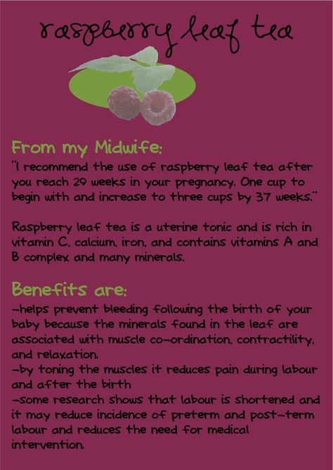 Rasberry Red Leaf Tea Benefits, Rasberry Leaf Tea During Pregnancy, Raspberry Tea For Labor, Red Raspberry Leaf Tea Pregnancy Recipes, Raspberry Tea Benefits, Raspberry Leaf Benefits, Raspberry Tea Pregnancy, Red Raspberry Leaf Tea Benefits, Benefits Of Raspberry Leaf Tea