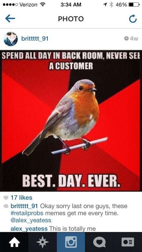 Retail robin Hospitality Humor, Robin Meme, Retail Humor, Working Retail, Retail Problems, Retail Worker, Retail Robin, Nursing Quotes, Social Work Humor