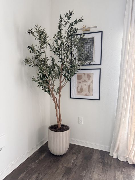 Shop Realead Faux Olive Tree 7ft - … and other curated products on LTK, the easiest way to shop everything from your favorite creators. Faux Tree In Bedroom, Olive Tree Living Room Decor, Olive Tree Indoor Living Rooms, Fake Olive Tree Living Room, Olive Tree In Bedroom, Olive Tree Decor Ideas, Olive Tree Entryway, Olive Tree Bedroom, Faux Olive Tree Bedroom