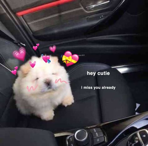 Goodnight Wholesome, Goodnight Pictures Cute, Cute Memes For Her, Love Quotes For Crush, Flirty Memes, Wholesome Pictures, Pick Up Lines Funny, Cute Love Memes, Snapchat Funny