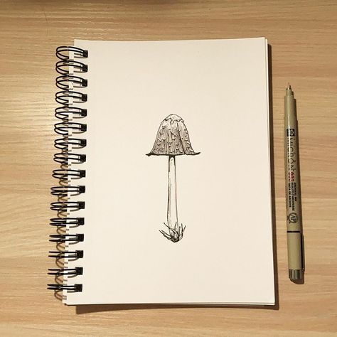 tara rook on Instagram: “38/100 Coprinus Conakry’s aka shaggy mane mushroom.  Very cool looking & they grow in Maine.  Thinking about drawing mushrooms daily for…” Maine, The 100, Stuffed Mushrooms, Drawings, Instagram