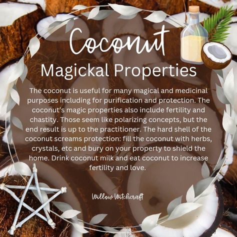 Fruit Magic, Magical Herbs Witchcraft, Kitchen Witch Recipes, Magickal Herbs, Witch Herbs, Medical Herbs, Plant Magic, Magic Quotes, Writing Fantasy