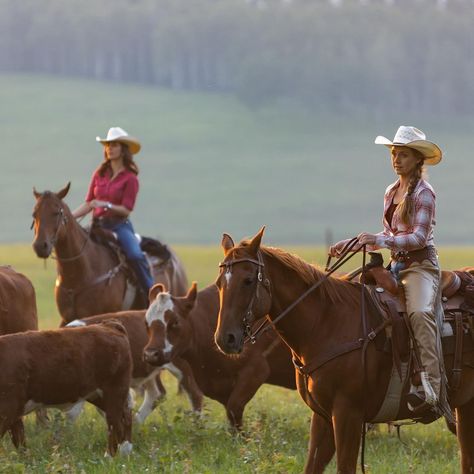 Heartland Aesthetic, Lou Fleming, Ranch Aesthetic, Heartland Amy, Heartland Ranch, Cowgirl Pictures, Heartland Seasons, Northern Exposure, Heartland Cast