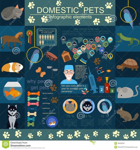 Photo about Domestic pets infographic elements, helthcare, vet. Vector illustration. Illustration of flat, house, business - 46009591 Animal Infographic, Flat House, Infographic Elements, Pet Vet, Pet Owners, Stock Illustration, Stock Vector, Vector Illustration