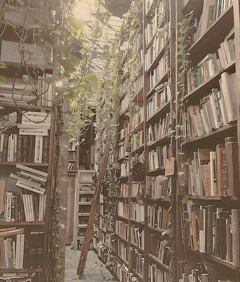 Books And Plants, Old Library, Nature Aesthetic, Bookshelves, Ivy, Shelves, Plants, Books, Nature