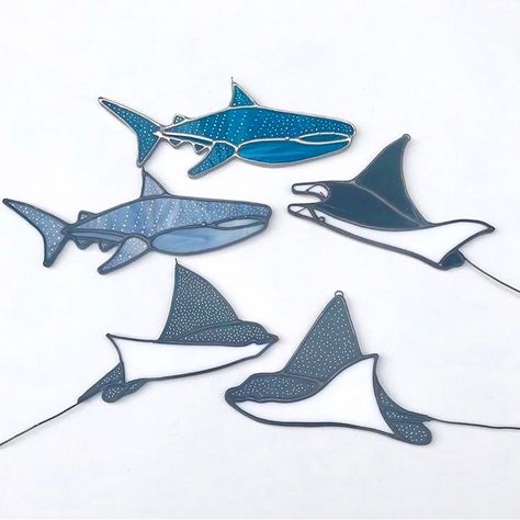 Krista Woodward on Instagram: “Wondering if I post this today maybe I can see some of these guys tmr! I have seen mantas before and eagle rays but never a whale shark.…” Whale Stained Glass Pattern, Stained Glass Shark, Stained Glass Whale, Glass Shark, Stained Glass Mirror, Diy Stained Glass Window, Stained Glass Decor, Stained Glass Suncatchers, Stained Glass Flowers