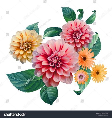 stylized beautiful flowers in white background Botanical Flowers Png, Hur Man Ritar Blommor, Bunch Flower, Flower Pic, Flowers White Background, Digital Flower, Rose Flower Pictures, Flower Bunch, Flowers Png