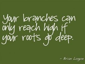 Your branches can only reach high if your roots go deep. Roots Quotes, Wings Quotes, Boundaries Quotes, Fire Quotes, Tree Quotes, Notable Quotes, Magical Life, Deep Roots, Quotes Of The Day