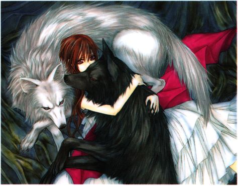 Vampire Knight Wolf | Straight-Up Mentally Unstable • bunnitron: Illustration from Vampire ... Vampire Knight Zero, Vampire Knight Kaname, Vampire Knight Yuki, Vampire Knight Manga, Yuki Kuran, Matsuri Hino, Kaname Kuran, Vampire Knights, Anime Songs