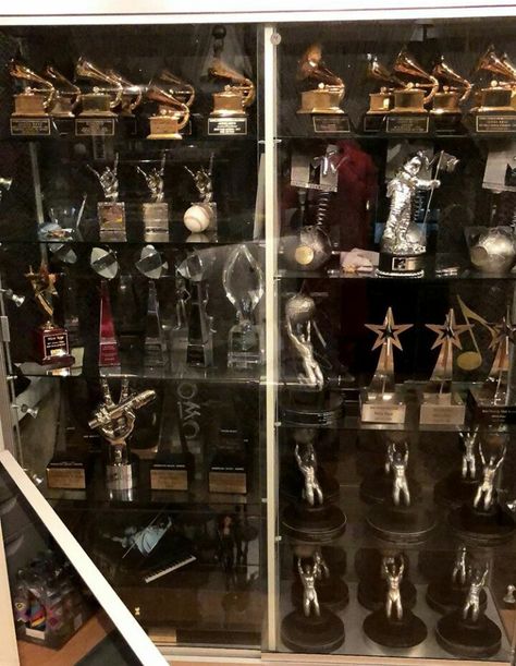 Celebrity Awards, Actor Awards Aesthetic, Winning Awards Aesthetic, Getting Award Aesthetic, Awards Display, Awards Shelf, Award Shows Aesthetic, Award Shelf, Music Award Aesthetic