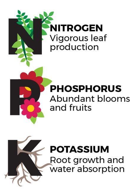 NPK Infographic Plant Deficiencies, Sky Nursery, Plants Care, Garden Remedies, Small Vegetable Gardens, Plant Care Houseplant, Backyard Vegetable Gardens, Plant Nutrients, Astuces Diy