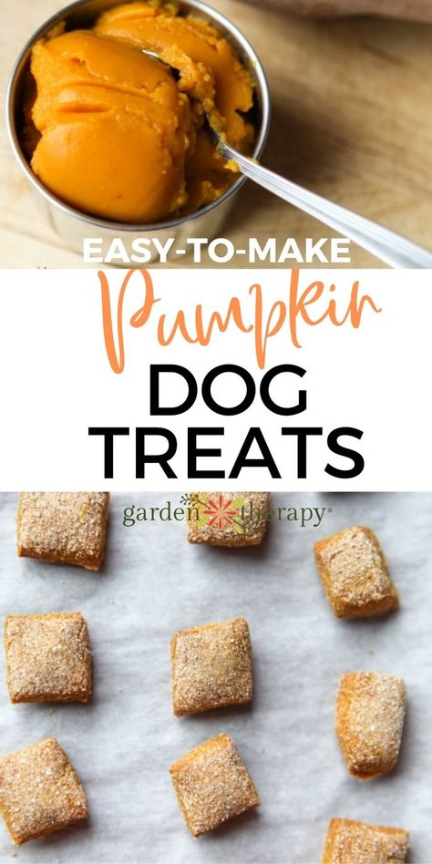 Pumpkin Oat Flour Dog Treats, Dog Treats Made With Pumpkin Puree, Pumpkin Treats Dogs, Banana Pumpkin Dog Treats Homemade, Doggie Pumpkin Treats, Pumpkin Dog Treats From Real Pumpkin, Pumpkin Muffins For Dogs, Soft Pumpkin Dog Treats Easy, Dog Cookies Recipe Easy Pumpkin