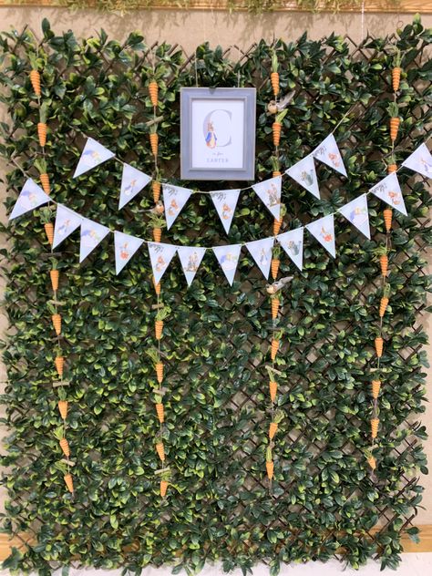 Peter Rabbit Photo Backdrop, Greenery Backdrop, Rabbit Theme, Bunny Theme, Rabbit Photos, Beatrix Potter, Peter Rabbit, Boy Shower, Photo Backdrop