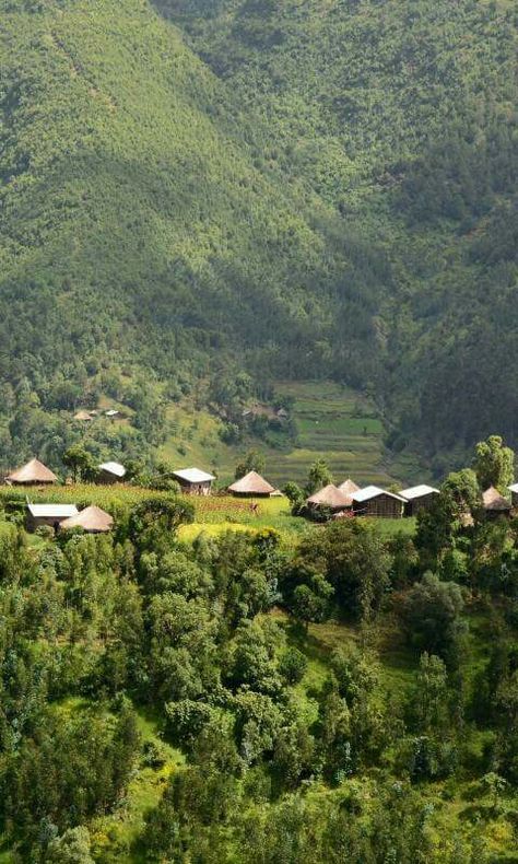 Ethiopian Village, Ethiopia Aesthetic, Ethiopian Landscape, Harar Ethiopia, Guinea Conakry, Ethiopia Travel, Oromo People, Ethiopian Culture, I Love You Animation