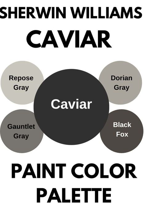 Sherwin Williams Caviar SW 6990 Caviar Paint Sherwin Williams, Caviar Sherwin Williams, Foyer Paint, Light Paint Colors, Sherwin Williams Color Palette, Black Paint Color, Dark Paint Colors, Paint Color Inspiration, Paint Colors Benjamin Moore