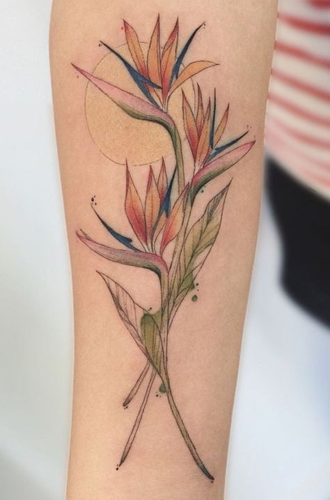 Bird Of Paradise Back Tattoo, Canna Lily Tattoo, Bird Of Paradise Plant Tattoo, Heliconia Tattoo, Birds Of Paradise Plant Tattoo, Bird Of Paradise Flower Tattoo, Waterlilly Tattoo, Bird Of Paradise Tattoo, Black And White Flower Tattoo