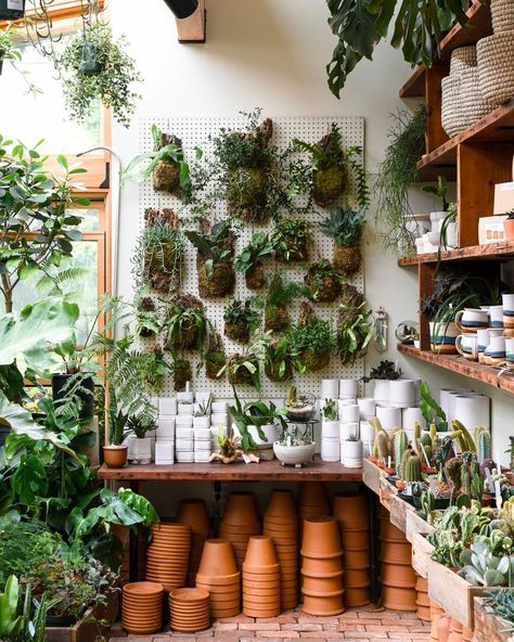 They're worth a road trip! Herb Room, Tree Architecture, Flower Shop Interiors, Interior Design Plants, Plant Arrangement, Flower Shop Decor, Raised Garden Bed Plans, Flower Shop Design, Home Stores