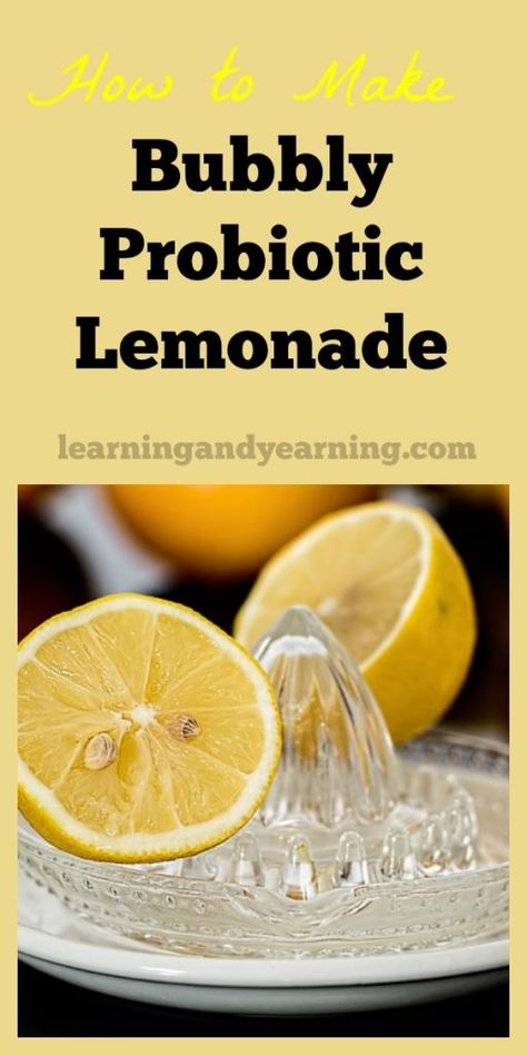 Bubbly Probiotic Lemonade Probiotic Lemonade, Glass Of Lemonade, Nourishing Traditions, Probiotic Drinks, Fermentation Recipes, Best Probiotic, Fermented Vegetables, Health Guru, Fermented Drink