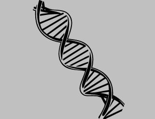 DNA Wall Stickers Dna Music, Dna Drawing, Science Drawing, Science Tattoo, Science Tattoos, Dna Art, Dna Tattoo, Dna Model, Helix Jewelry