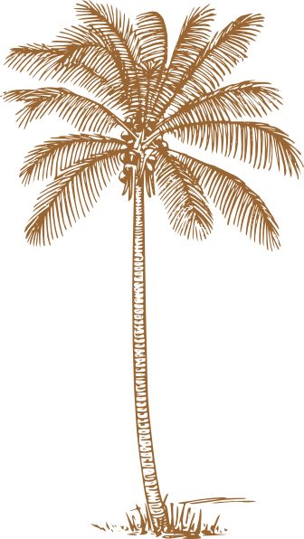 Palm Tree Clip Art, Palm Tree Wedding Invitations, Drawing Landscapes, Palm Tattoo, Palm Tree Drawing, Drawing Trees, Petit Tattoo, Tree Wedding Invitations, Beach Clipart