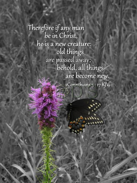 Kjv Scripture, Bible Words Images, Scripture Pictures, Inspirational Quotes God, Floral Photography, Bible Truth, Bible Quotes Prayer, Bible Verses Quotes Inspirational, Biblical Quotes