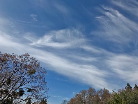 Cirrus and cirrostratus close to Erik Thompson's luxury cabin. #clouds #sandiego #cloudporn Cloud Reference, Cirrostratus Clouds, Cirrus Cloud, Cloud Formations, Luxury Cabin, Looking Up, San Diego, Hiking, Cabin