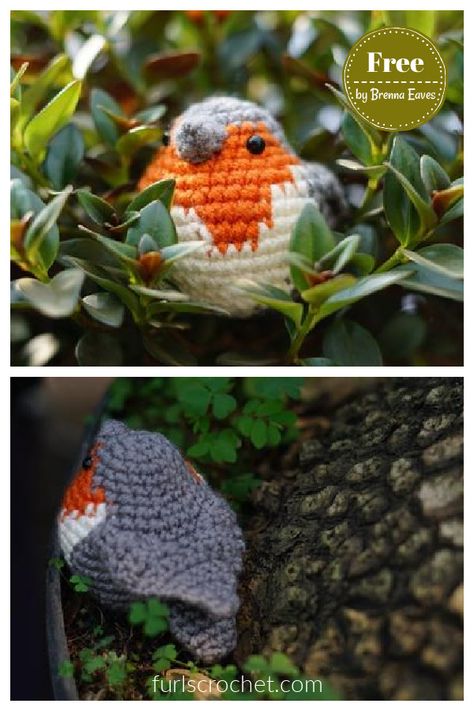 6 Robin Bird Amigurumi Crochet Patterns - Page 2 of 2 English Robin, Crochet Robin, Bird Amigurumi, Crochet Bird, Crochet Bird Patterns, Crochet Free Patterns, Crochet Cape, Crochet Mignon, Confection Au Crochet