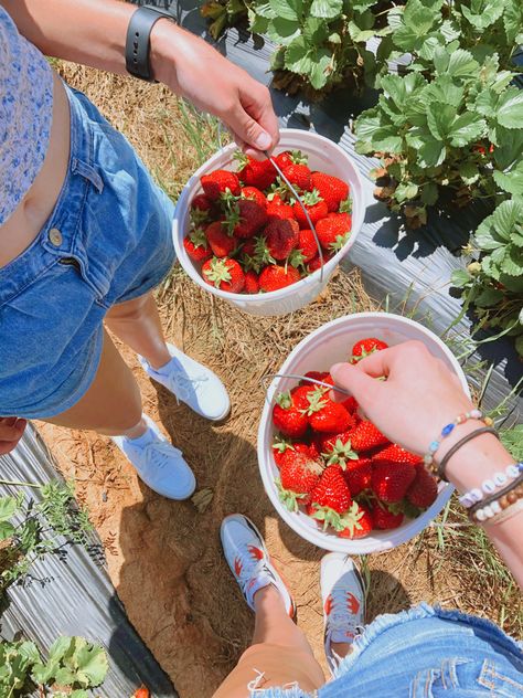 Summer Desserts Aesthetic, Strawberry Patch Aesthetic, Strawberry Picking Date, Summer Baking Aesthetic, Strawberry Picking Photography, Strawberry Picking Outfit, Summer Visionboard, Dates Ideas, Hangout Ideas