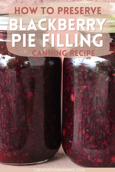 Homemade Blackberry Pie Filling, Blackberry Pie Filling, Blackberry Pie Filling Recipes, Black Raspberry Pie Filling, Recipes Using Canned Blackberry Pie Filling, Blackberry Filling For Pie, Canning Blackberry Pie Filling, Blackberry Butter For Canning, Berry Pie Filling Recipe