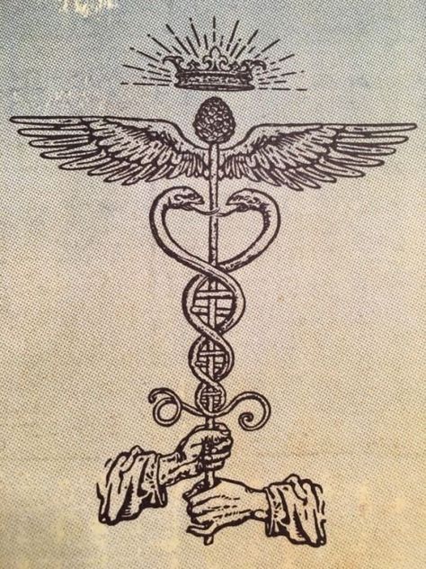 Hermes Tattoo, Caduceus Tattoo, Esoteric Tattoo, Alchemy Illustration, Manly P Hall, Medieval Tattoo, Esoteric Symbols, Alchemy Art, Tattoo Inspiration Men