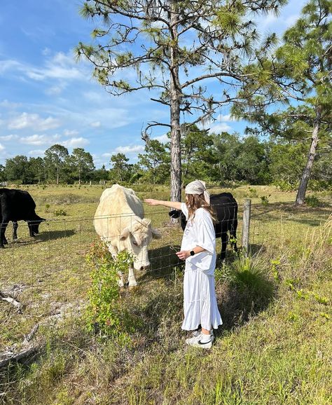 🐄 Photo Shoot With Cows, Cow Photoshoot, Farm Photoshoot, Field Photoshoot, Instagram Girls, Insta Inspo, Cute Cows, Photoshoot Poses, Photo Inspo