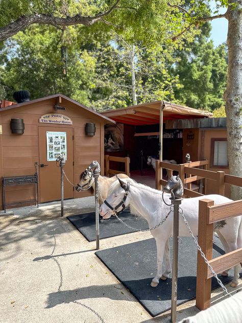 A Magical Miniature Property in Southern California - STABLE STYLE Mini Horse Paddock, Horse Cross Ties Ideas, Mini Cow Barn, Mini Horse Barn, Miniature Horse Barn, Horse Pens, Stable Style, Mini Horses, Mini Barn