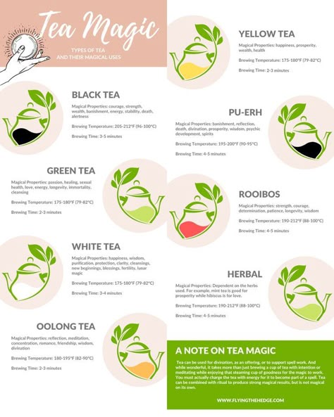 Are you interested in incorporating some tea magic into your witchcraft? This easy to follow tea guide shoes the different types of tea and their magical uses. Tea is a popular beverage among witches so why not brew up some tea magic! #tea #teas #magic #witchcraft Tea For Witches, Tea Witchcraft, Tea Magick, Magic Types, Witchy Tea, Tea Guide, Witch Tea, Magical Tea, Healthy Calories