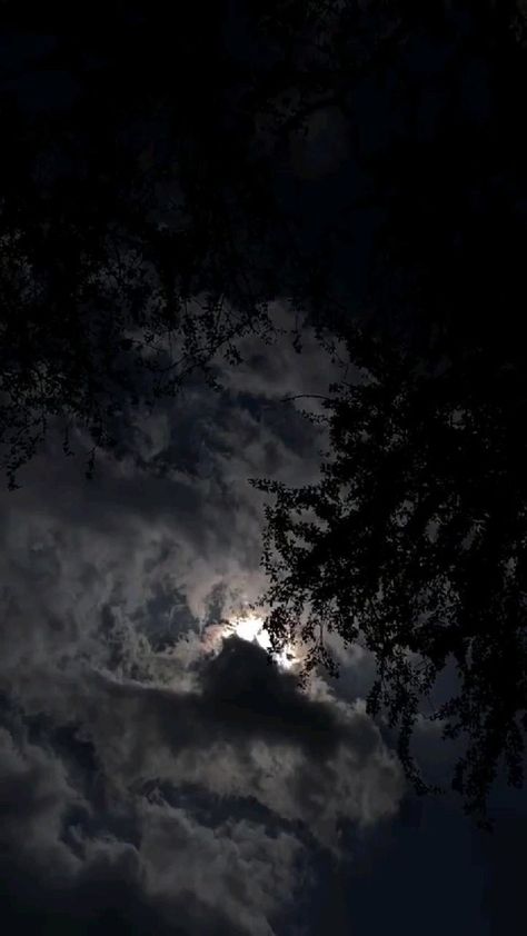 Nature Photography Sky, Palm Tree Photography, Night Sky Moon, Aesthetic Jungkook, Moonlight Photography, Night Sky Photography, Photography Sky, Black Color Hairstyles, Night Sky Wallpaper