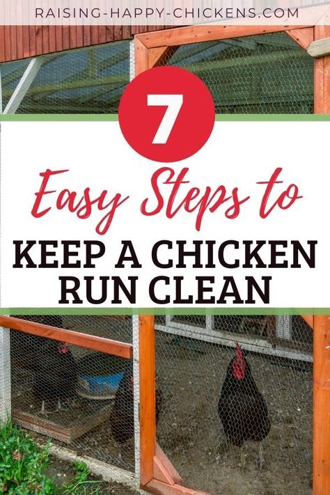 Open Chicken Run, How To Keep Chicken Run Clean, Chicken Run Entertainment, Keep Chicken Coop Clean, Keep Snakes Out Of Chicken Coop, Plants In Chicken Run, Chicken Coop Cleaning Hacks, Plants Around Chicken Coop, Chicken Run Flooring