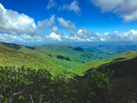 19 Best Day Trips From Asheville, NC - From Locals Asheville Itinerary, Asheville Hiking, Asheville Hikes, Asheville Breweries, Things To Do In Asheville, Craggy Gardens, Grandfather Mountain, North Carolina Travel, Pisgah National Forest