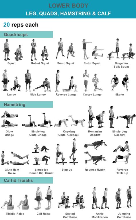 Lower Body Body Weight Exercises, Dumbell Leg Exercises, Single Leg Hamstring Exercises, Lower Body Quad Workout, Body Weight Leg Day, Quads Hamstrings Calves Workout, Quads And Calf Workout, Leg With Dumbbells, Leg Workout For Strength