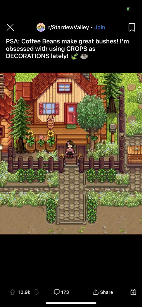 Stardew Valley Layout Aesthetic, Stardew Valley Painted House, Stardew Starter Farm, Sdv Community Center Checklist, Hot Stardew Valley Fanart, Stardew Valley Seasonal Plants, Stardew Valley Tiny Farm, Stardew Valley House Paint Ideas, Stardew Valley Farm Design Ideas