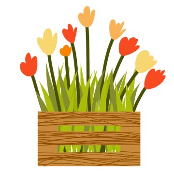 Flower Box Drawing, Flower Storage, Summer Plant, Box Png, Wooden Pot, Wood Illustration, Plant House, Wood Pots, Box Decoration