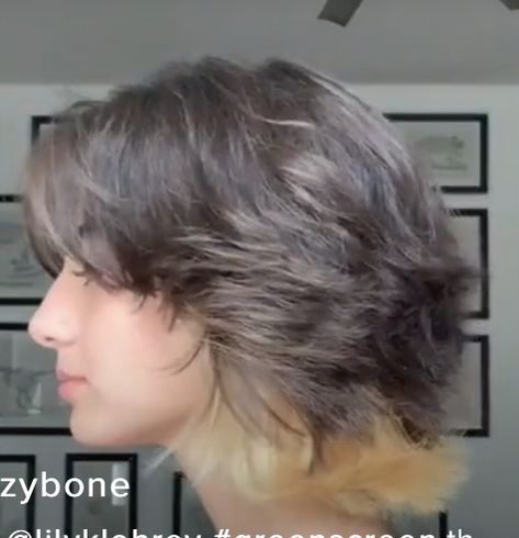 Short Hairstyle Women Layered Straight, Short Grunge Hair Side Part, Rockstar Blowout Haircut Short, Wolf Cat Hairstyle Short, Short Wolf Cut Back View, Short Wolf Haircut With Bangs, Short Layered Haircuts With Bangs Alt, Super Short Wolf Cut Hair, Short Wolfcut Unstyled