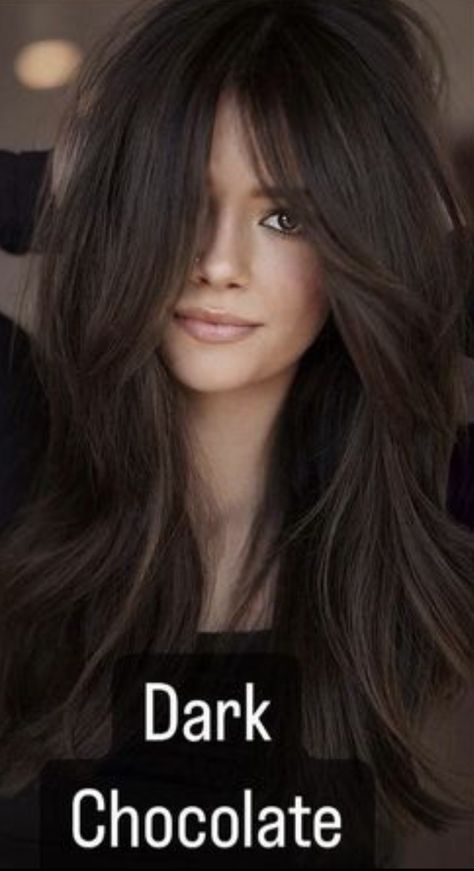 Layered Thick Hair, Rambut Brunette, Kadeřnické Trendy, Vlasové Trendy, Long Layered Haircuts, Long Hair With Bangs, 짧은 머리, Haircut For Thick Hair, Trending Haircuts