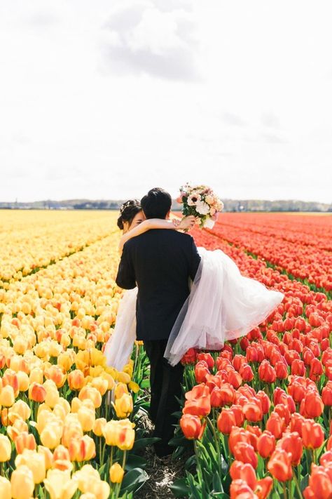 Scene Reference, Albanian Wedding, Amsterdam Trip, Wedding Couple Pictures, Field Engagement Photos, Couple Shooting, Tulip Field, Shooting Inspiration, Tulip Wedding