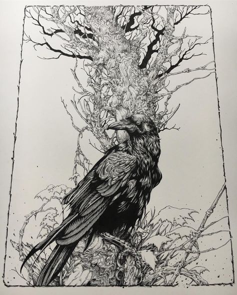 ‘Raven’ Ink on arches #fajarallanda #penandink Moleskine Sketchbook, Raven Bird, Tree Sketches, Nature Drawing, Amazing Drawings, Bird Drawings, Crows, Moleskine, Horror Art