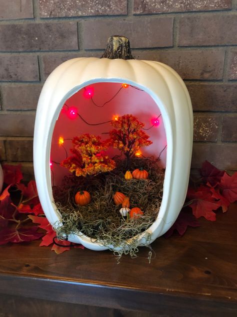 Pumpkin Competition, Pumpkin Diorama, Plastic Pumpkins, Fall Pumpkins, Halloween Themes, Terrarium, Halloween, Pins, Home Decor