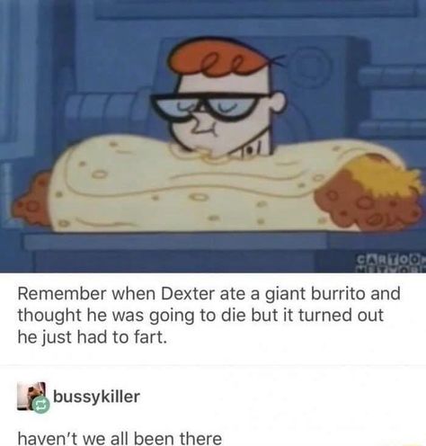 Dexters Laboratory, Witty Memes, Right In The Childhood, Geek Life, Dexter, Funny People, Bones Funny, Popular Memes, Funny Posts