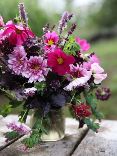 Growing Cut Flowers, Long Vase, Purple Bouquet, Flower Garden Design, Pumpkin Farm, Cut Flower Garden, Minnesota State, Fresh Cut Flowers, Pretty Plants